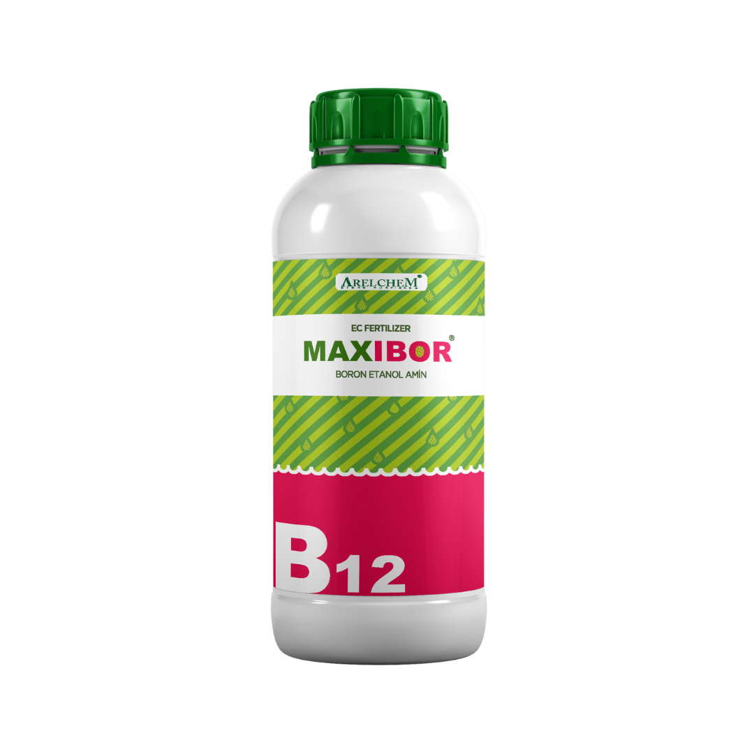 ARELCHEM MAXIBOR (BORON ETANOLAMİN) 1 LT'LİK AMBALAJ