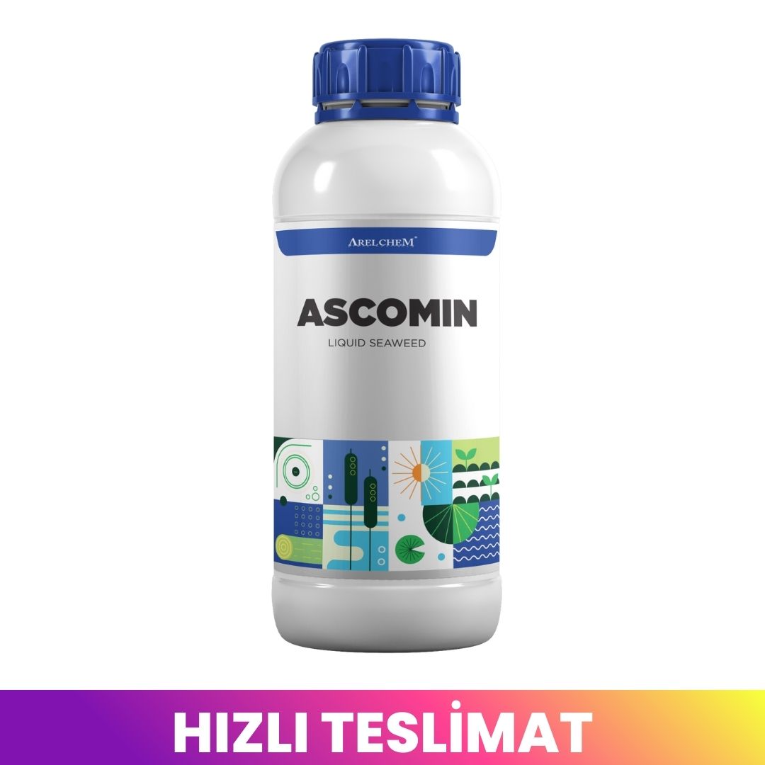 ARELCHEM ASCOMIN (SIVI DENİZ YOSUNU - FOTOSENTEZ VE BİTKİ GELİŞİM DÜZENLEYİCİSİ) 1 LT'LİK AMBALAJDA