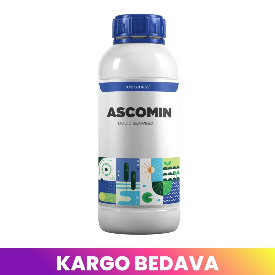 ARELCHEM ASCOMIN (SIVI DENİZ YOSUNU - FOTOSENTEZ VE BİTKİ GELİŞİM DÜZENLEYİCİSİ) 1 LT'LİK AMBALAJDA