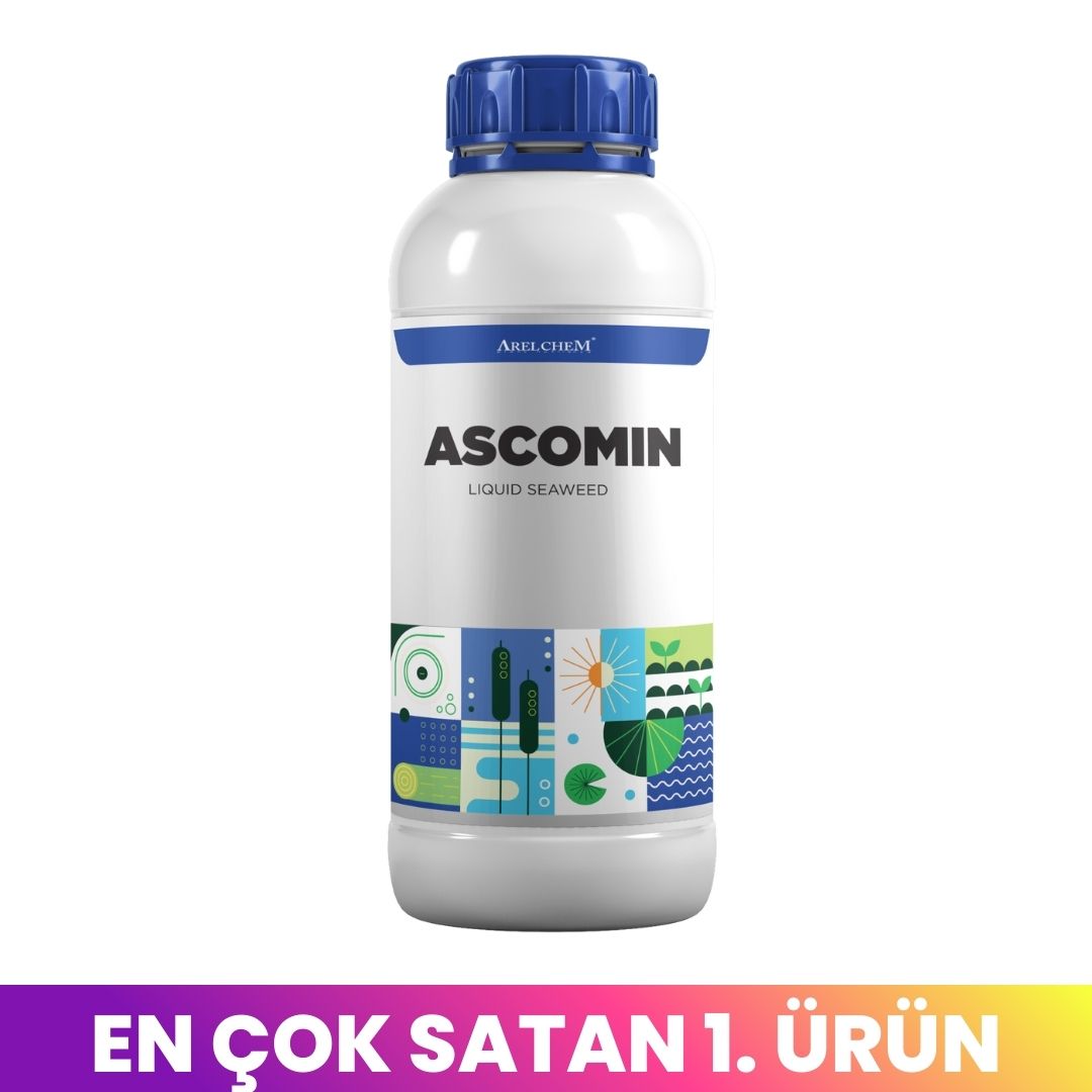 ARELCHEM ASCOMIN (SIVI DENİZ YOSUNU - FOTOSENTEZ VE BİTKİ GELİŞİM DÜZENLEYİCİSİ) 1 LT'LİK AMBALAJDA